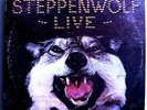 STEPPENWOLF LIVE MEGA-RARE ORIG'70 DUNHILL WHITE LABEL PROMO LP WEST COAST PRESS