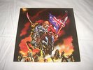IRON MAIDEN-RUNNING FREE IN SYDNEY-PICTURE DISC-HEAVY METAL-Lp-Vinyl-lot 21