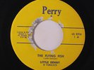 LITTLE DENNY: The Flying Fish / Rock And Roll Blues 45 (some lbl damage) Rockab