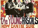 YOUNG RASCALS HOW CAN I BE SURE RARE ORIG ITALIAN 45 rpm 7
