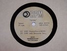 POLICE / STING- VERY RARE 12