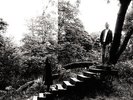 TIMBER TIMBRE-TIMBER TIMBRE (LTD.COLOUR REPRESS+MP3)-VINYL LP FULL TIME NEU