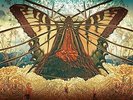 Heart Of A Dark Star - Mr. Gnome (2014, Vinyl New)