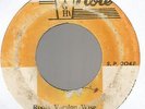 REGGAE GEORGE - FIG ROOT / SKY NATION - ROOTS VERSION WISE        7