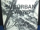 1980 Suburban Lawns Janitor 45, picture sleeve