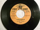 THE DELL-VIKINGS - Come Go With Me / How Can I - 45 Vinyl FEE BEE 205 - 1957 R&B