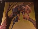 circa survive  and sunny day real estate rsd  split