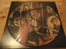 Rare Slayer Picture LP Reign In Blood