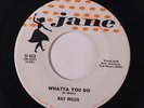RAY WILLIS: Whatta You Do / Patricia Darling 45 Rockabilly