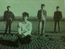 CHAMELEONS Tears 12