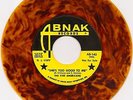 45 rpm THE FIVE AMERICANS -SHE'S TOO GOOD TO ME / MOLLY BLACK Abnak 142 promo NM