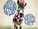 RARE rolling stoned side of the GOV'T MULE vol 1 RSD Black Friday 2014 LP stones