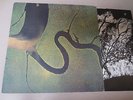 DEAD CAN DANCE The Serpent's Egg LP 4AD Beggars Banquet 1988 Orig UK Import