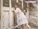 Violent Femmes LP [Vinyl New] 180gm Vinyl Debut Album  Rhino #R179951