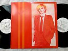 JAPAN RARE VINTAGE 2LP KYOTO LIVE IN JAPAN DAVID SYLVIAN non TMOQ