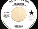 THE LOLLIPOPS | BUSY SIGNAL 45 | RCA VICTOR WLP | GIRL GROUP NORTHERN SOUL