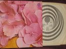 Still Life S/T  1st UK 1971 Vertigo Press. MONSTER Prog Psych. NM LP 