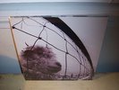 Pearl Jam VS US LP Original Vedder Soundgarden RNDM Brad