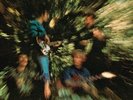 CREEDENCE CLEARWATER REVIVAL - BAYOU COUNTRY NEW VINYL
