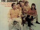 THE SUNRAYS ANDREA STEREO 1966 TOWER LP I LIVE FOR THE SUN MURRY BRIAN WILSON 