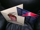 David Bowie: Aladdin Sane,1973, Klapp-Cover- RAR LSP 4852, orange Label,Germany