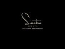 FRANK SINATRA**DUETS: 20TH ANNIVERSARY (REMASTERED/180G/GATEFOLD)**2 VINYL SET