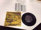 Led Zeppelin 7