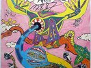 BIRD NEST ROYS - Same  LP from New Zealand Original Flying Nun FN65