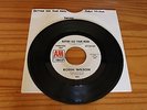 Northern Soul: Robin Wilson - Better Use Your Head Demo