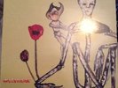 1992 GEFFEN SUB POP RECORDS NIRVANA - INCESTICIDE 12