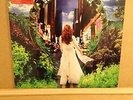 Scissor Sisters Debut Album in Vinyl, great condtion