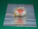 Mina  ?– Selfie     lp sigillato