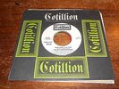 Velvet Underground 60s ROCK PSYCH DJ 45 Who Loves the Sun Mono / Stereo