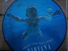 Nirvana Picture Disk Smells Like Teen Spirit 12