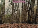 TWINK - Think Pink 180g Pink Vinyl LP + CD including 8 bonus tracks New + sealed