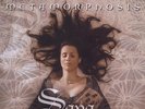 SAVA - METAMORPHOSIS