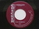 DALE HAWKINS Tornado Little Pig Checker Rockabilly 45 HEAR