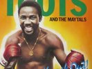 Toots And The Maytals - Knock Out (Island-Records LP-Schallplatte Germany 1981)