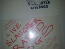 Slaughter and the dogs lp.punk.live at bell vue manchester.sex pistols