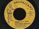 NAT TURNER REBELLION funk soul 45 DELVALLIANT