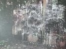 Wildlife by La Dispute 2 Disc Purple Vinyl