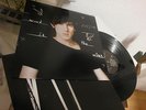 PATRICK WOLF Wind In The Wires vinyl LP UK TOMLAB RARE