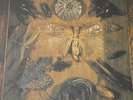SCHMETTERLINGE - JOY UNLIMITED - DE 71 - PILZ-LABEL