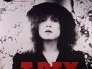 T REX - The Slider: 40th Anniversary - 180 gram vinyl LP + MP3 download code