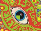 THE 13th FLOOR ELEVATORS THE PSYCHEDELIC SOUNDS OF... RECORDS LP VINYLE NEUF