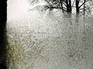 Bon Iver - For Emma,Forever Ago *LP*NEU*