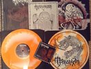 Terrorizer-Before the Downfall DLP Die hard lim.150