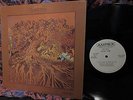 RARE 1970 ORIG   FEVER TREE   FOR SALE Hard Garage Psych + 12:56 HEY JOE & LOVE