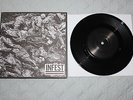 Infest Days Turn Black 7