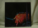 Black Sabbath - Paranoid - Vinyl - Vertigo 6360011 1970 -  gut erhalten